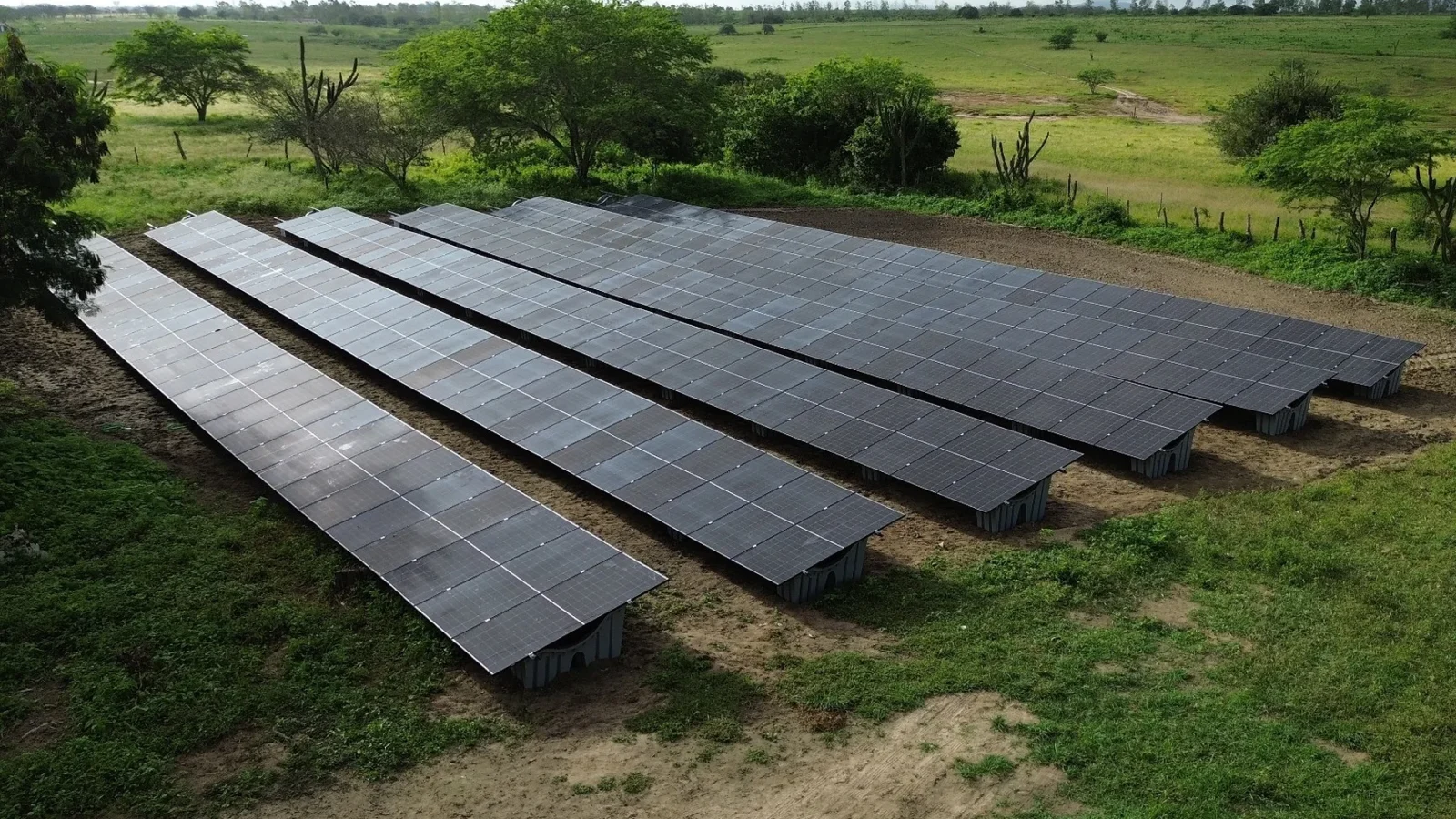 Vista aérea de extensa instalação de painéis solares em área rural semiárida, com vegetação nativa ao redor.