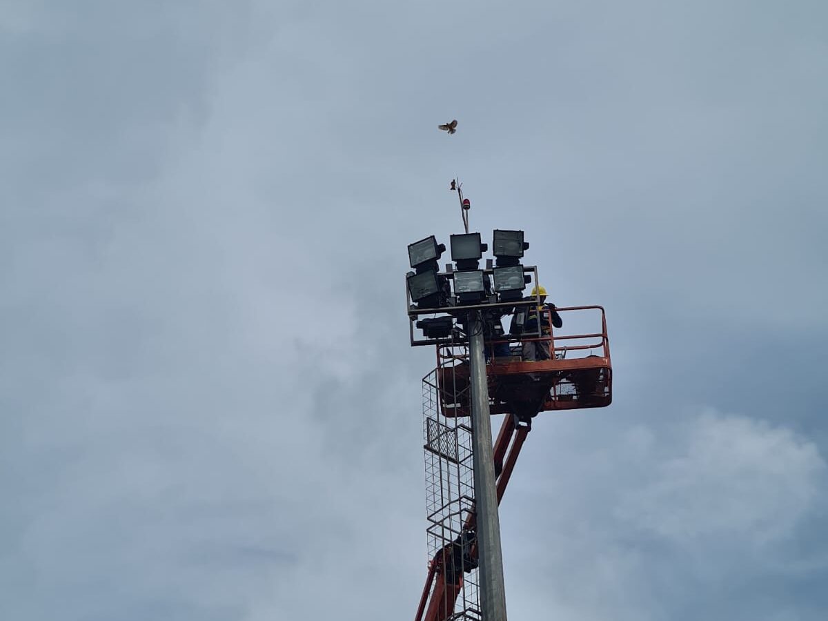 Vista de baixo para cima de torre de iluminação industrial com técnico junto aos refletores no topo, aves voando ao fundo. Com SPDA